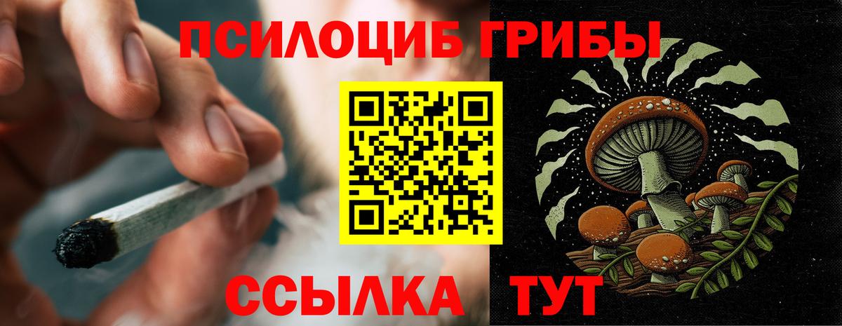 Галлюциногенные грибы Cubensis Азнакаево